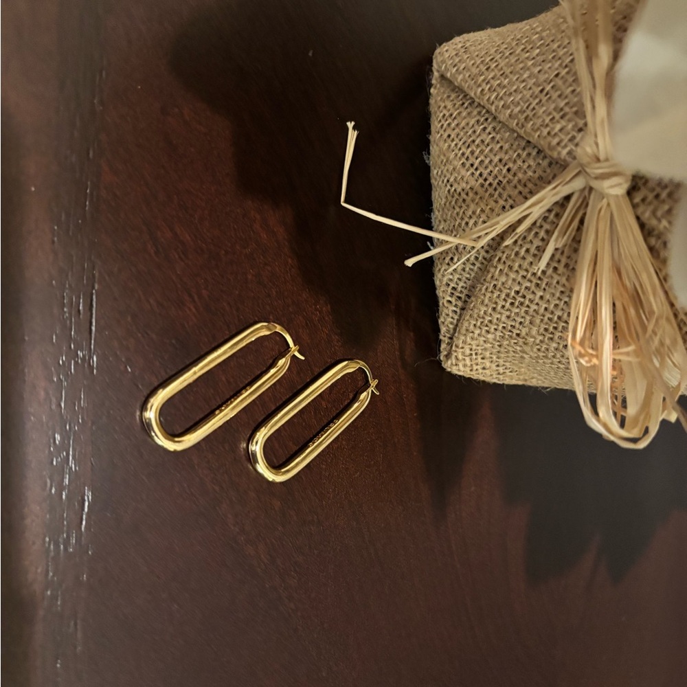 Elegant Gold Hoop Earrings